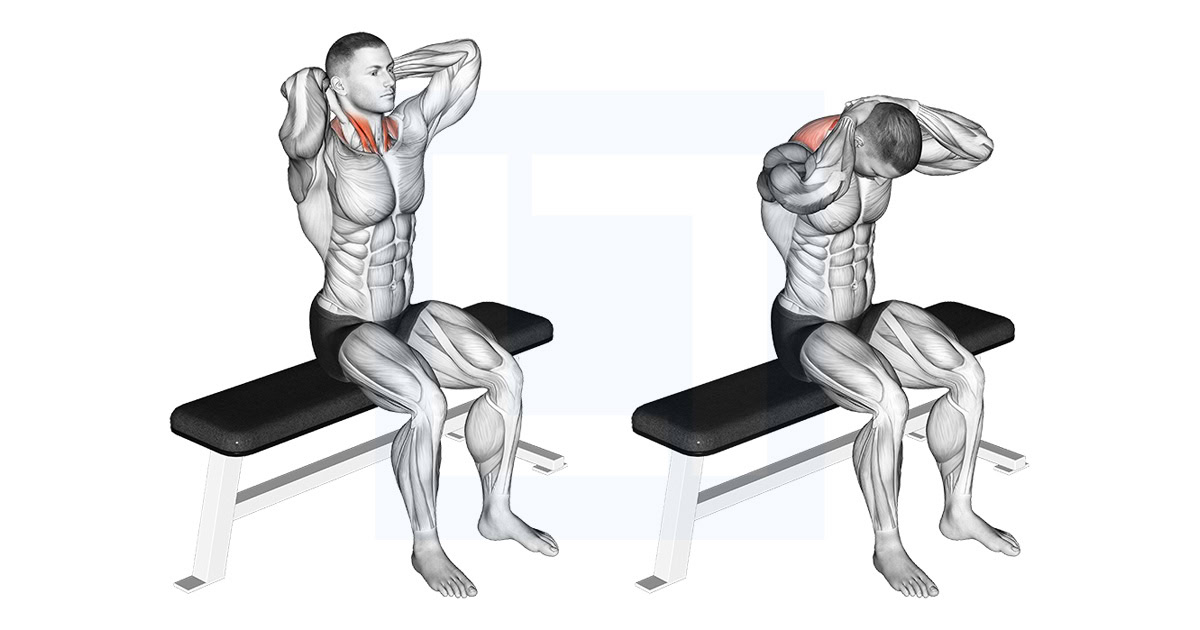 Seated Flexion and Extension Neck