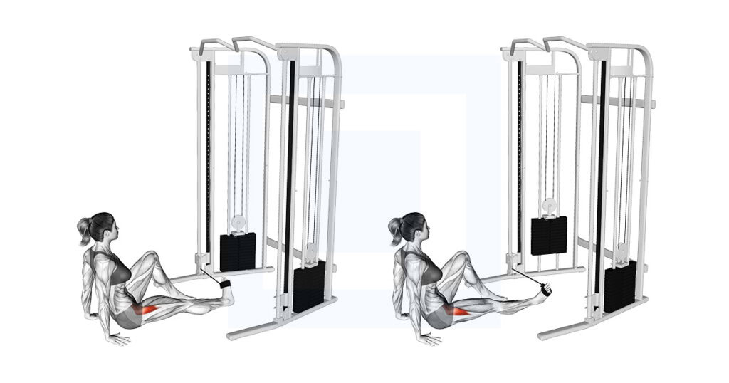 Seated Hip External Rotation Exercise Guide