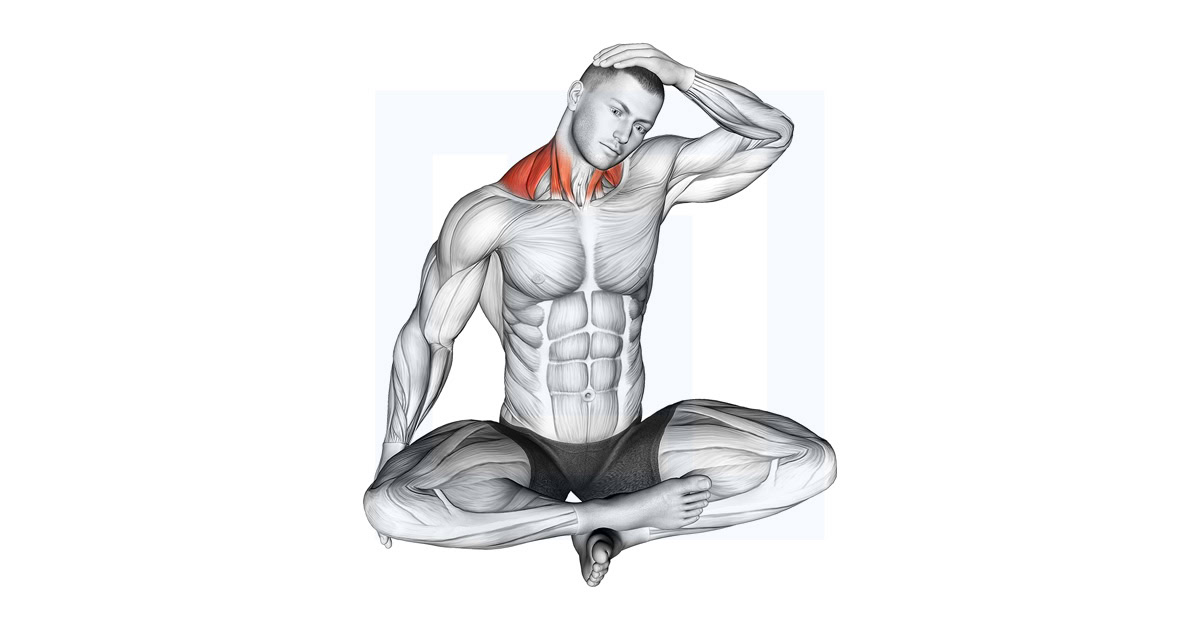 Seated Neck Side Stretch
