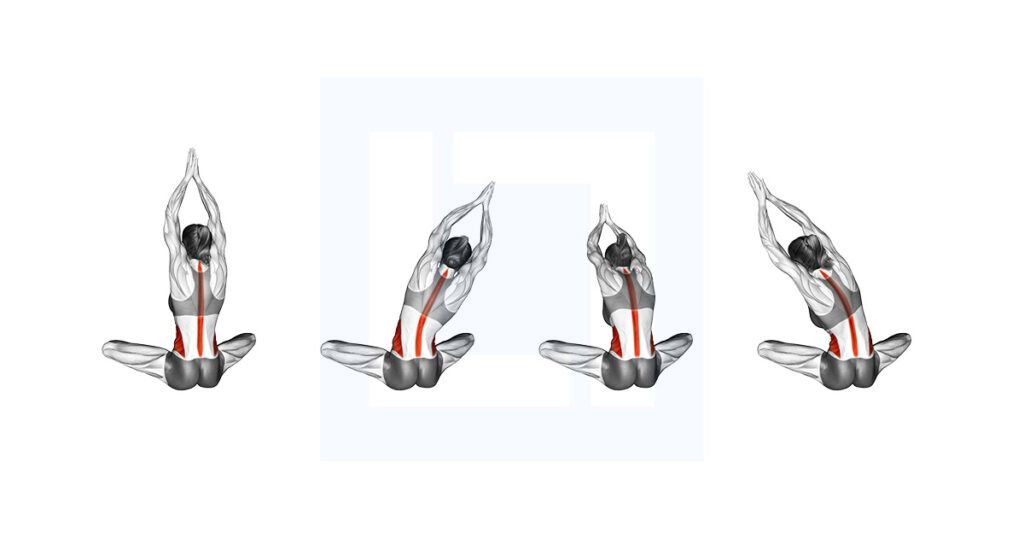 Body Rotation Without Twisting Seated Upper Body Rotation Exercise Guide