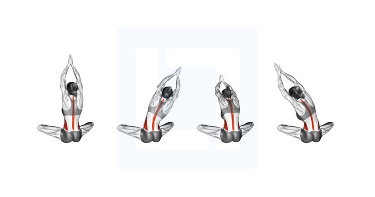 Body Rotation X Seated Upper Body Rotation Exercise Guide