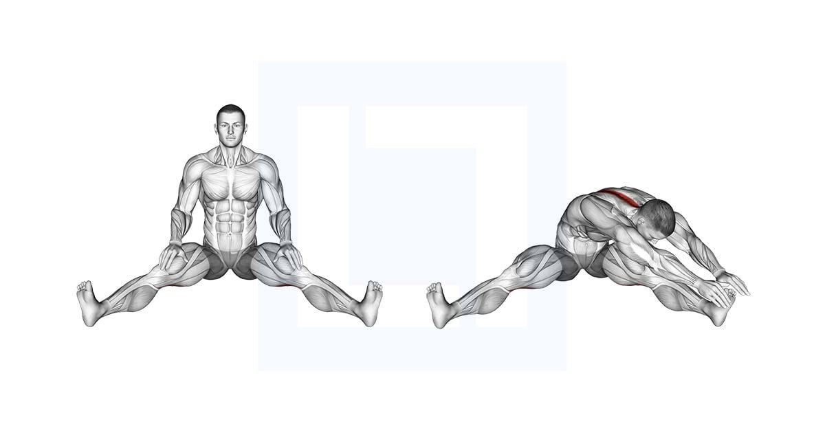 Seated Wide Angle Pose Sequence