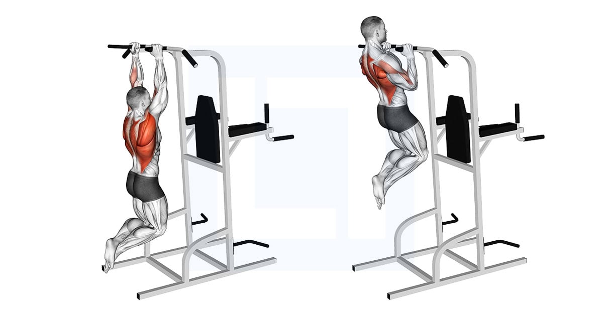 Shoulder Width Neutral Grip Pull Up