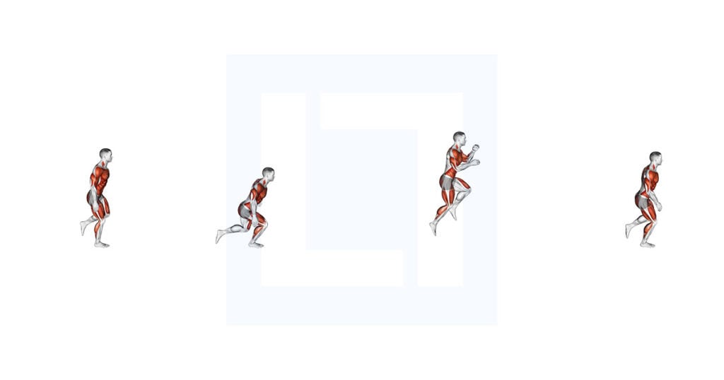 Single Leg Board Jump