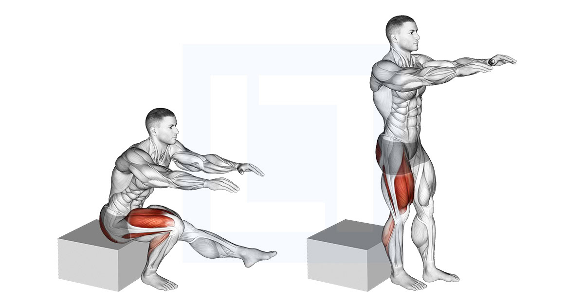 Single Leg Low Box Squat