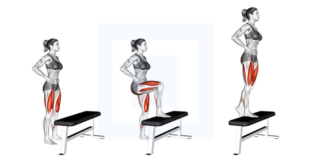 Single Leg Step Up on Bench Guide