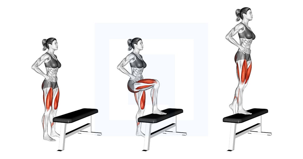 Single Leg Step Up on Bench