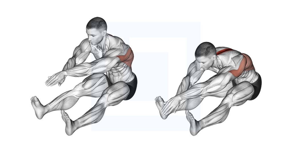 Sitting Bent Over Back Stretch