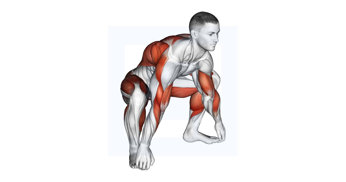 Sitting Sumo Mobility Stretch