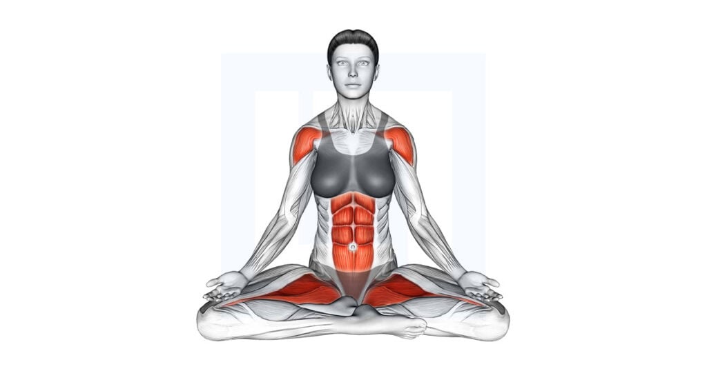 Sitting Yoga Pose Siddhasana