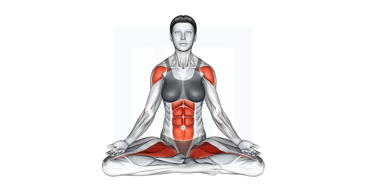 Sitting Yoga Pose Siddhasana