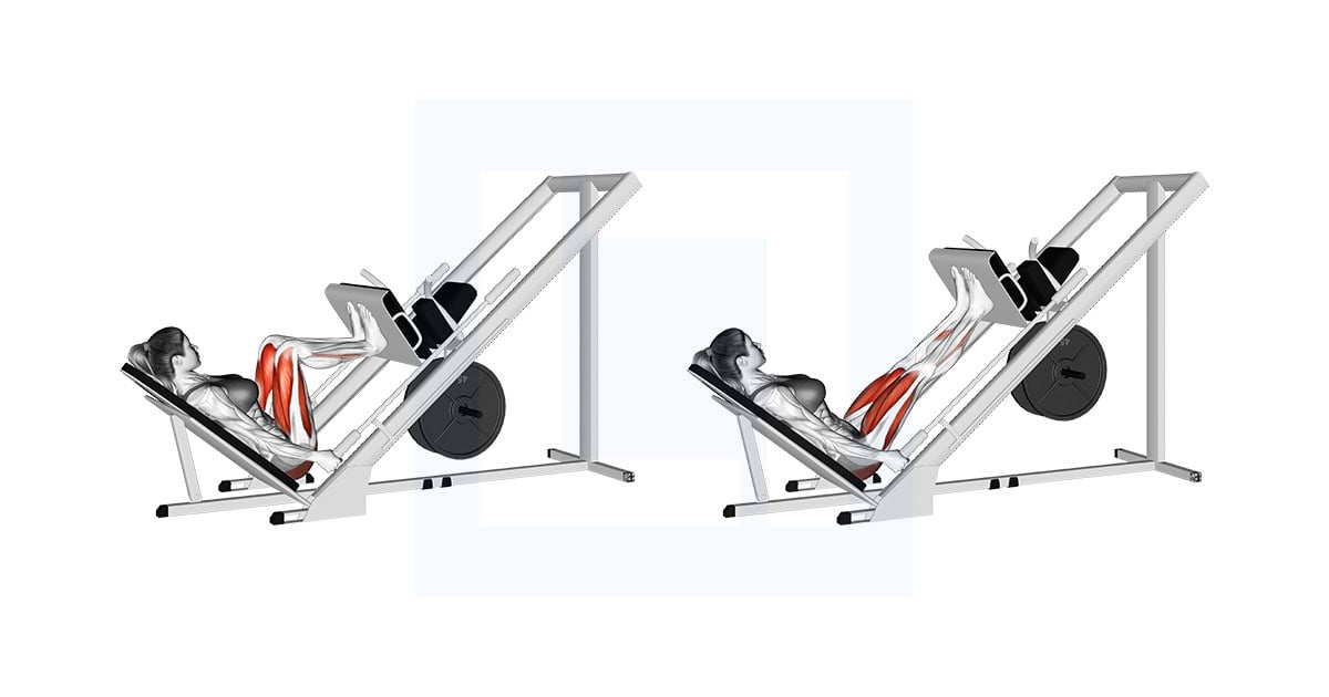 Sled 45 Degrees Narrow Stance Leg Press