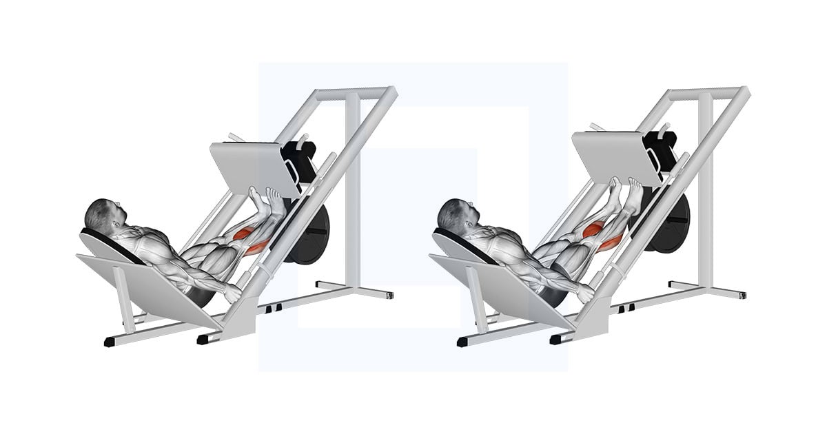 Sled Calf Press on Leg Press