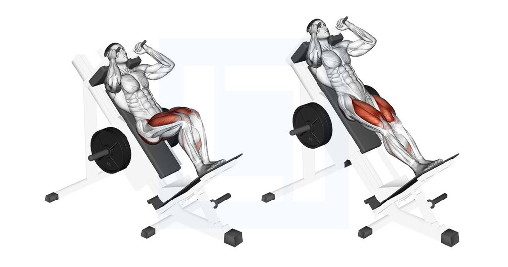 Sled Closer Hack Squat: Narrow Stance Hack
