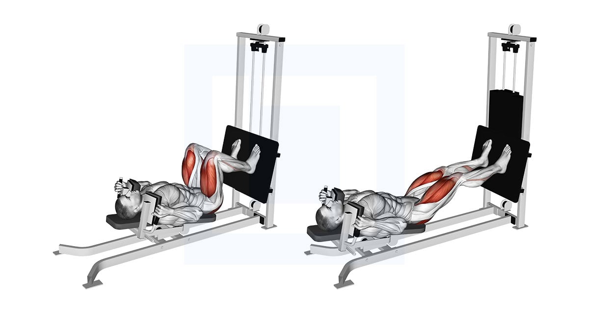 Sled Lying Squat