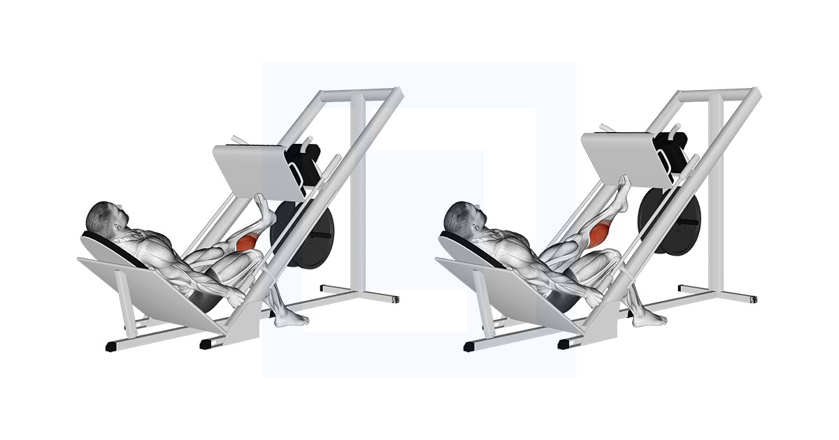 Sled One Leg Calf Press on Leg Press