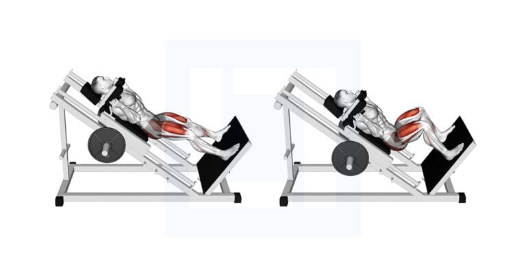 Sled Wide Hack Squat: Wide Stance Hack
