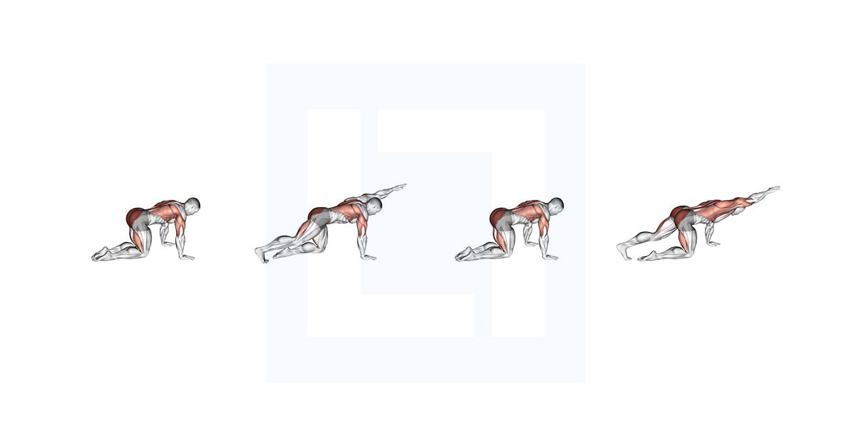 Sliding Leg Bird Dog