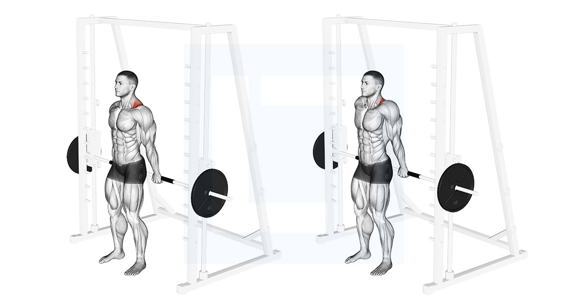 Smith Back Shrug