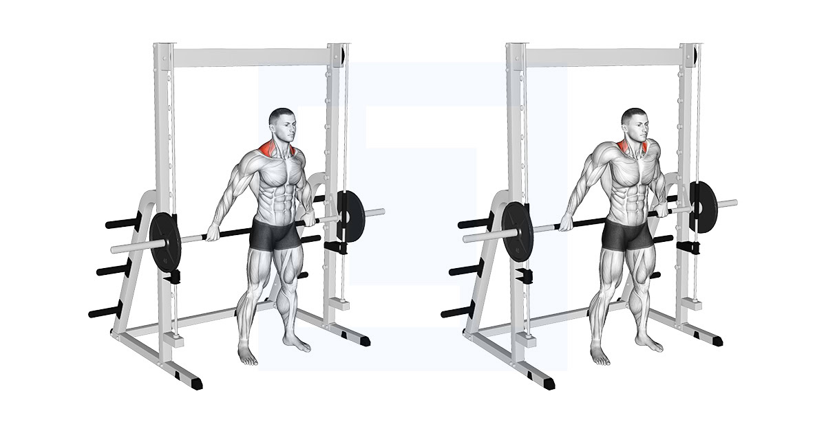 Smith Back Wide Shrug