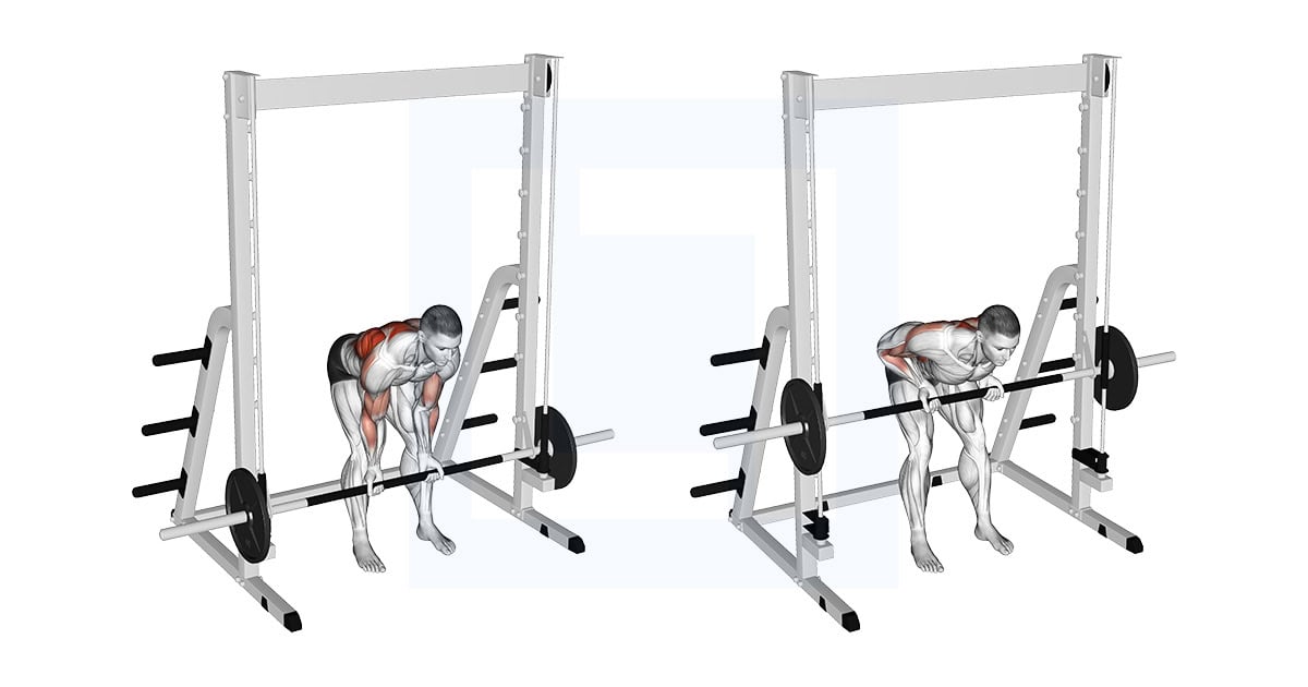 Smith Bent Over Narrow Supinated Grip Row