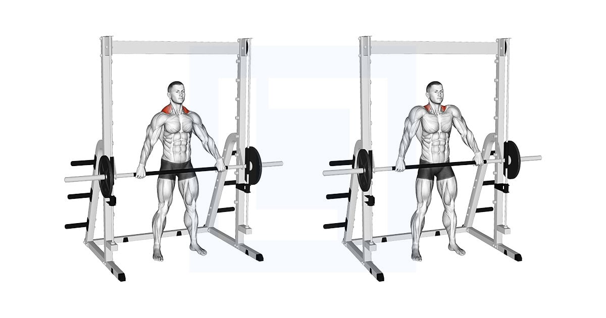 Smith Wide Shrug