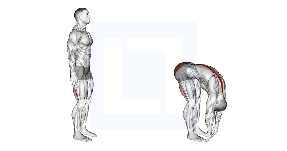 Standing Back Extension and Flexion