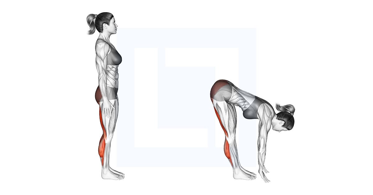 Standing Half Bend