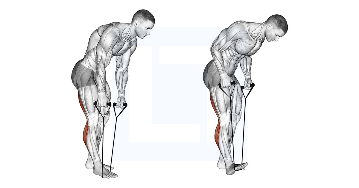 Standing Hamstring and Calf Stretch with Strap