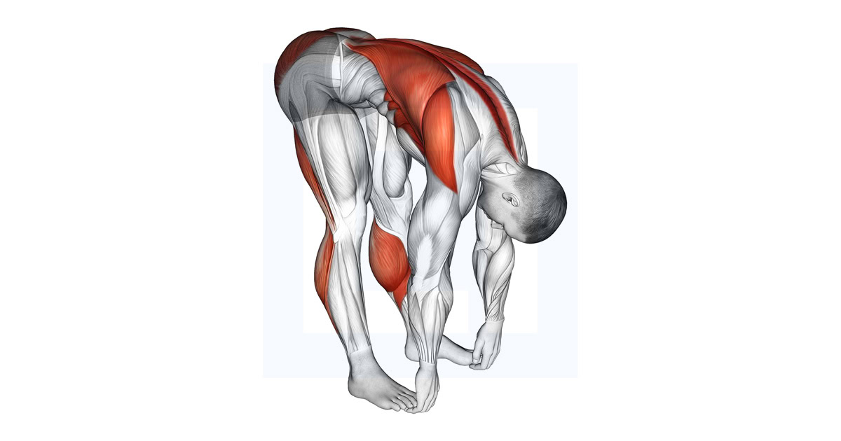 Standing Hamstrings and Back Stretch