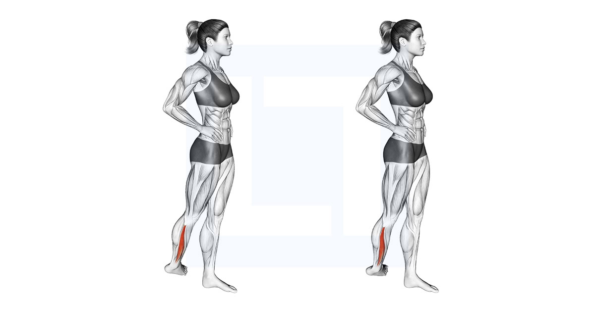 Standing Peroneus Muscles Stretch