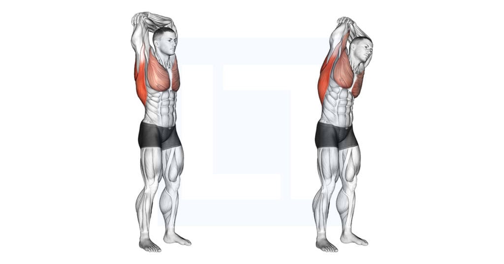 Standing Reach Up Back Rotation Stretch