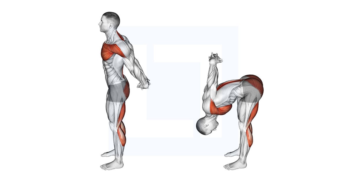 Standing Seal Yoga Pose