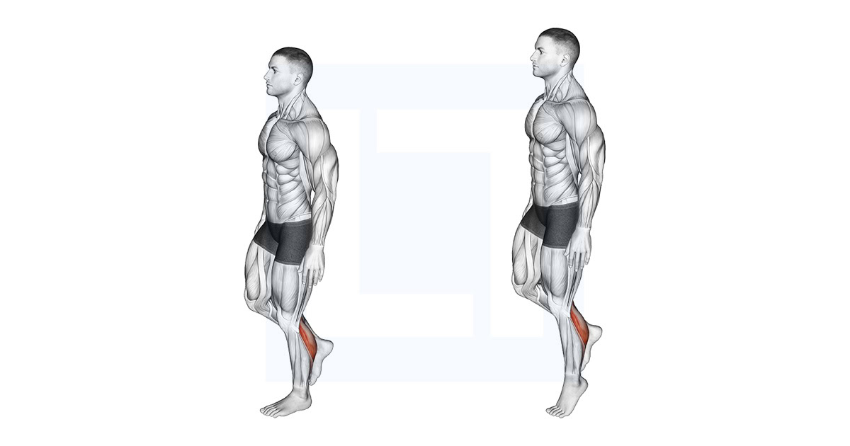 Standing Single Leg Calf Raise Balance