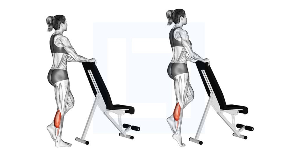 standing-single-leg-calf-raise-support