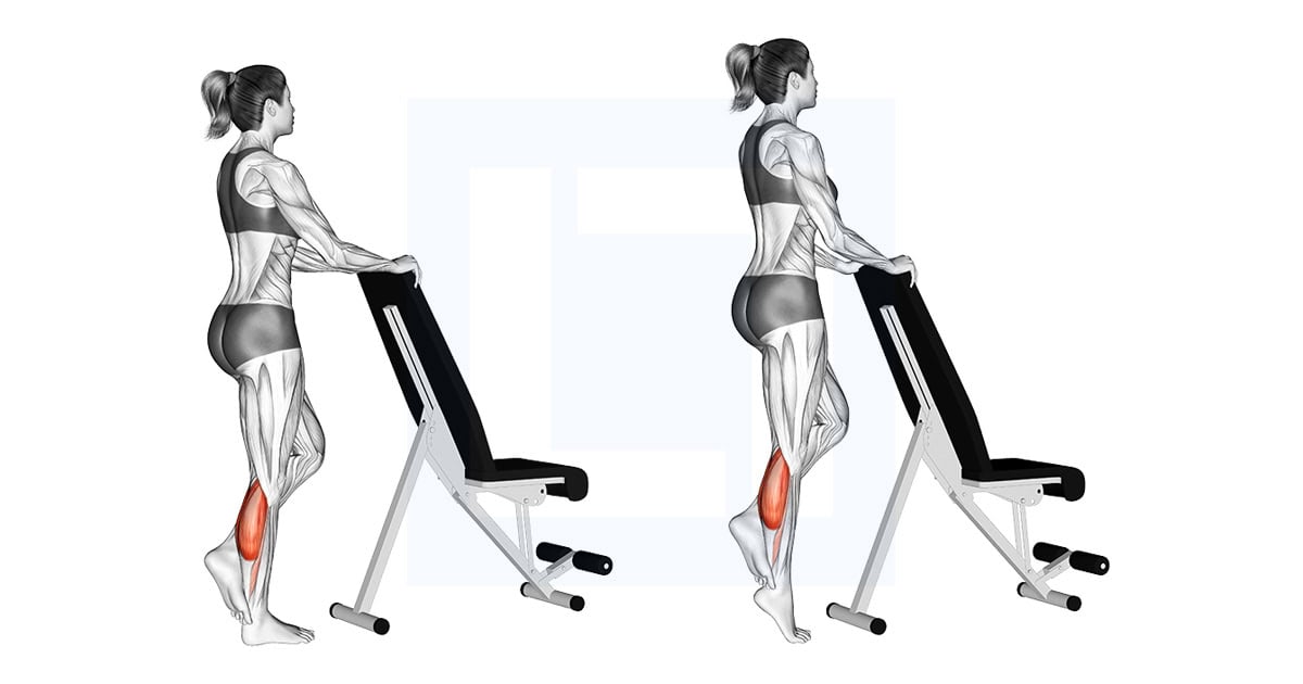 Standing Single Leg Calf Raise with Support