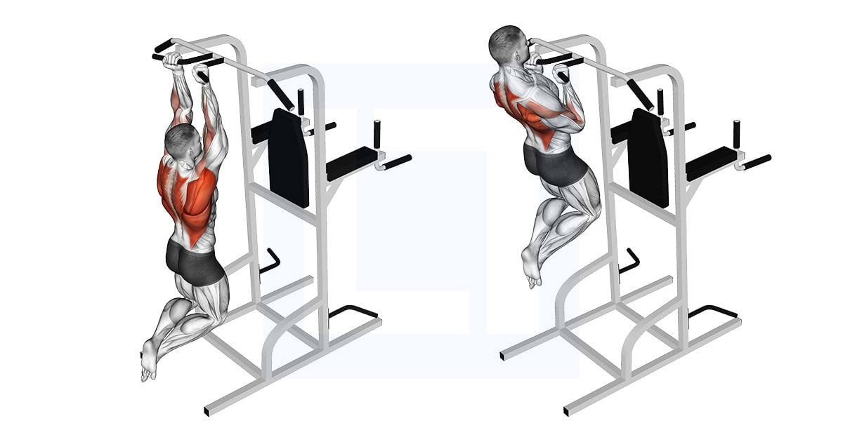 Supinated Narrow Grip Pull Up