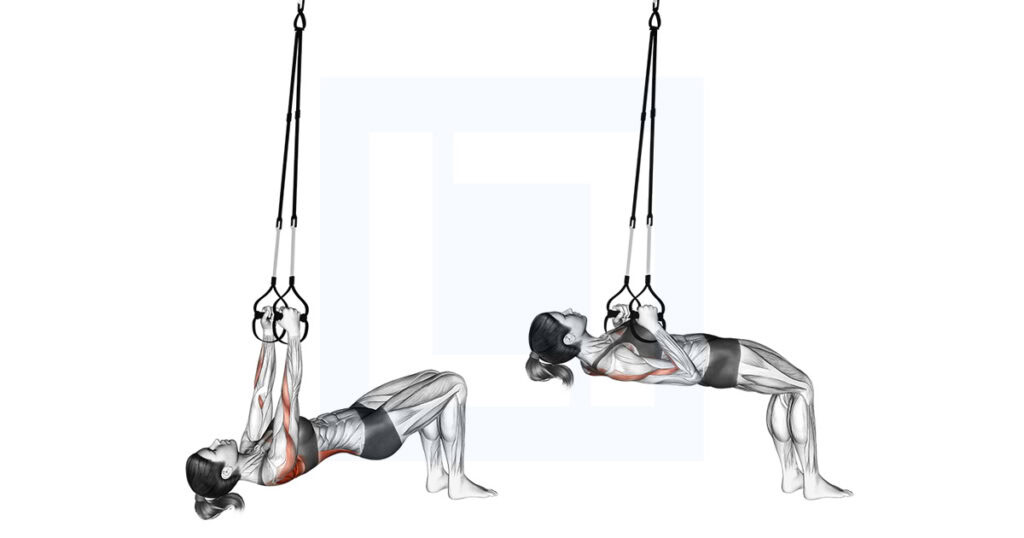 Suspender Bent Knee Inverted Row Exercise Guide