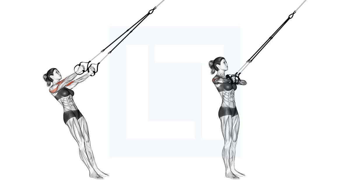 Suspension Trainer Biceps Clutch