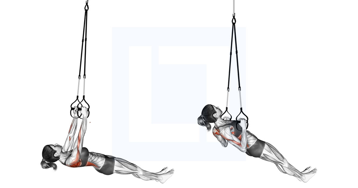 Suspender Inverted Row