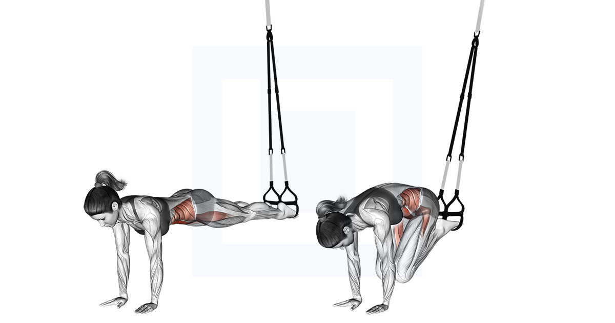 Suspension Trainer Jack Knife