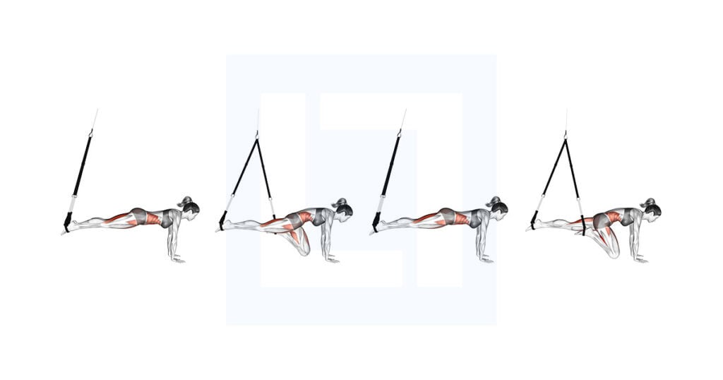 Suspension Trainer Mountain Climber