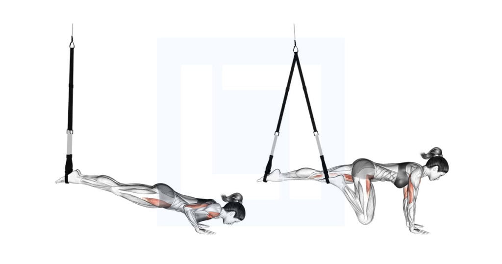 Suspender Mountain Climber Push Up