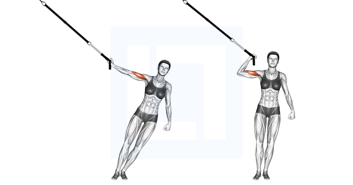 Suspender One Arm Biceps Curl
