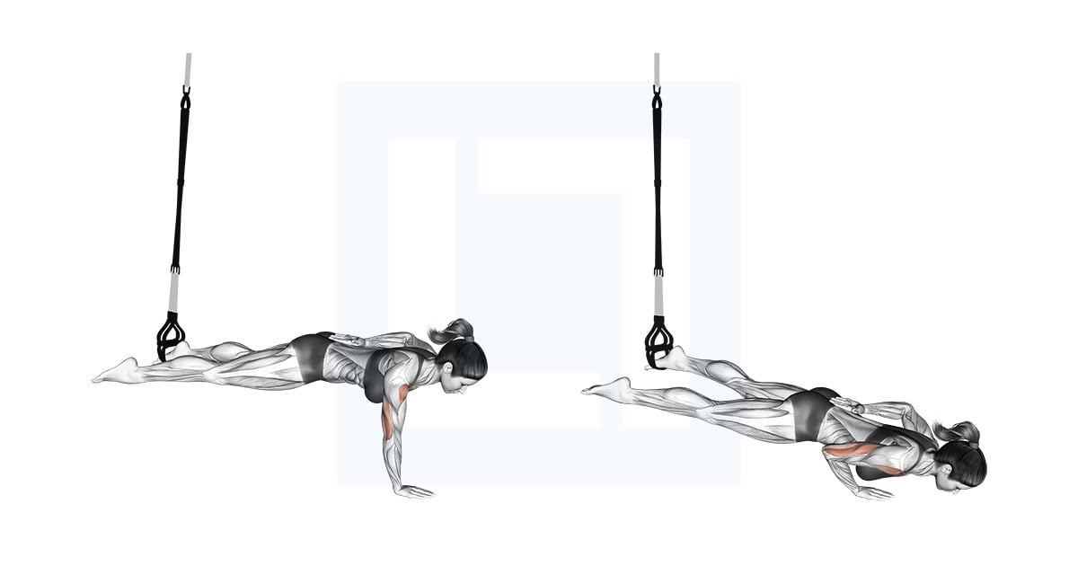 Suspender One Arm Leg Push Up