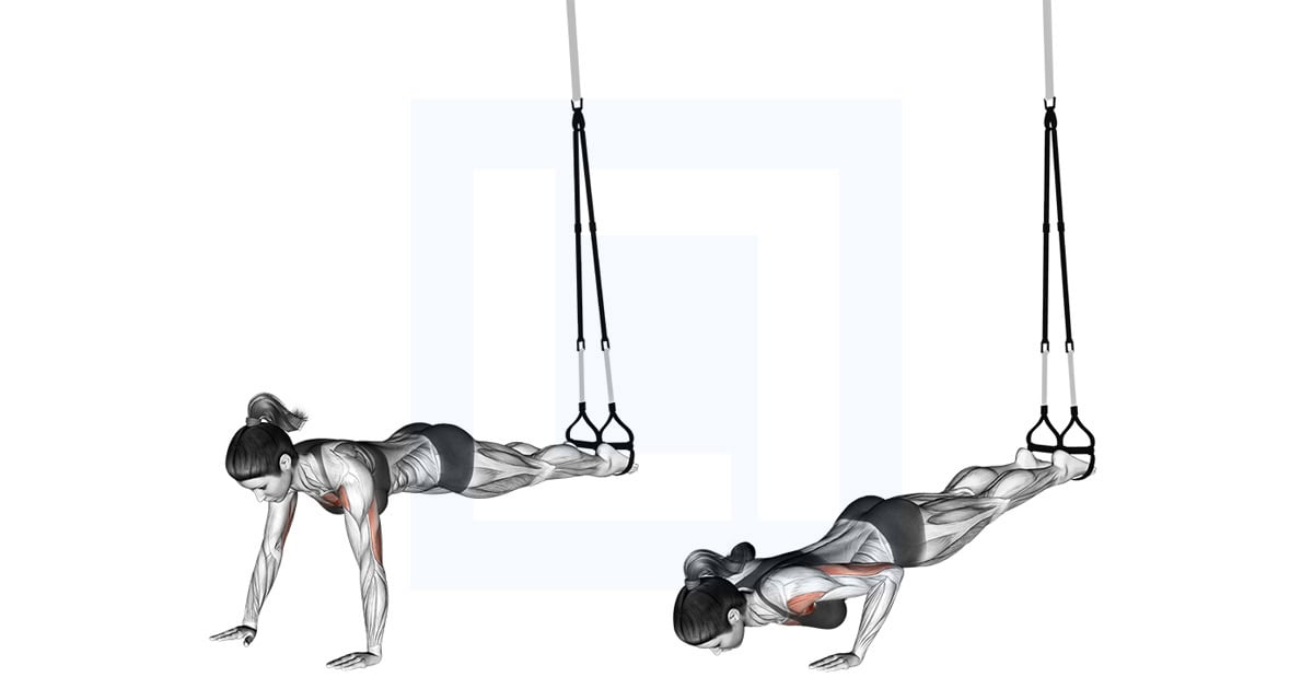 Suspender Push Up