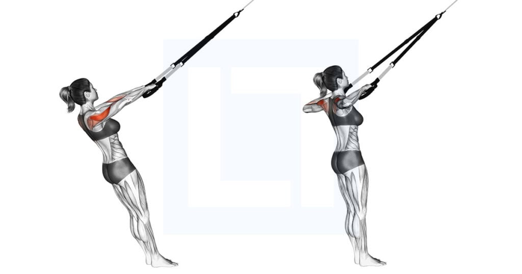 Suspender Rear Delt Row