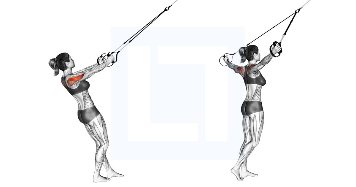 Suspender Reverse Fly