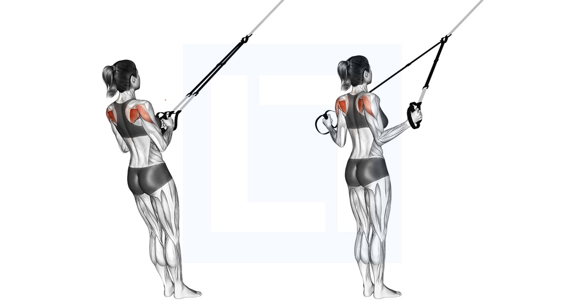 Suspender Shoulder External Rotation