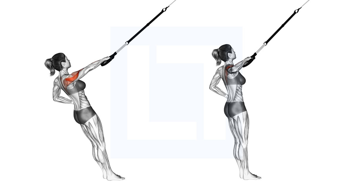 Suspender Single Arm Rear Delt Row